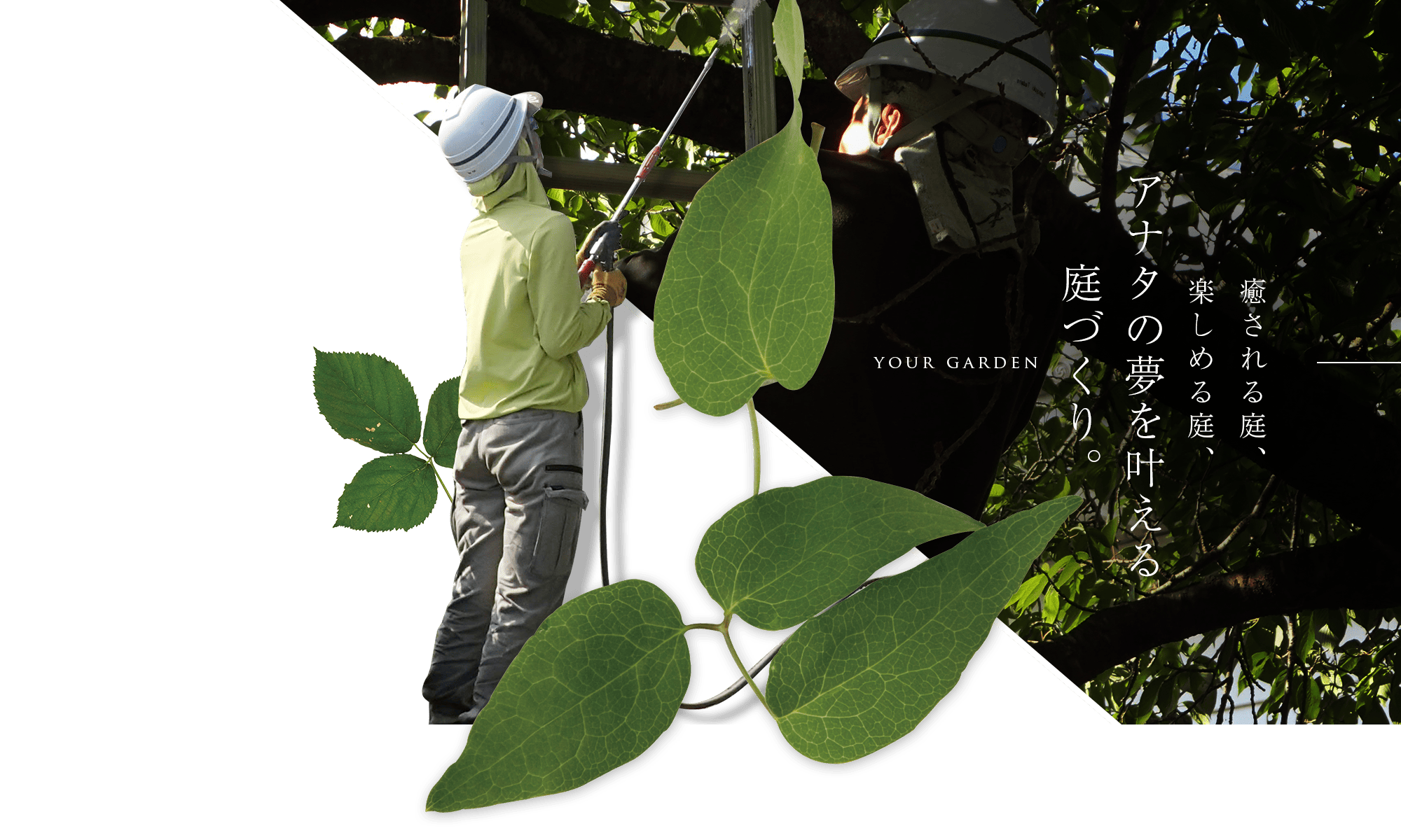 有限会社大友園芸