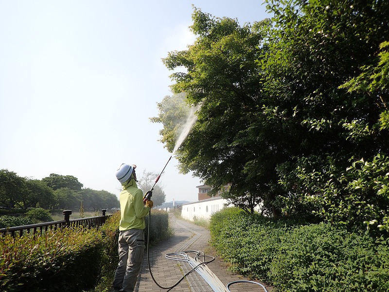 男女従業員 求人